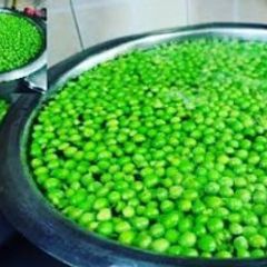 A picture of हरी मटर स्टोर करने का तरीका(hari matar store karne ka tarika recipe in hindi).
