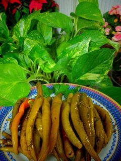 عکسی از دستور ترشی فلفل سبز