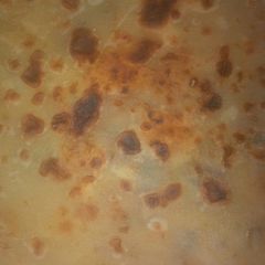 A picture of Brown flour chapatis.