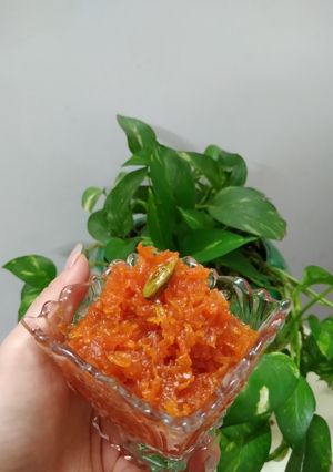 عکسی از دستور مربا هویج😍