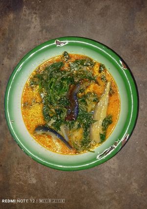 Foto resep Santan Daun Singkong & Terong