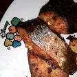 Patin goreng