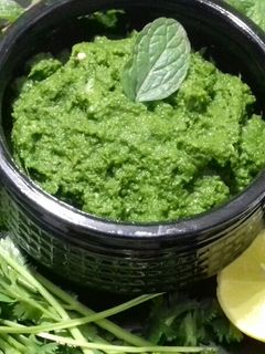 ગ્રીન ચટણી (Green Chutney Recipe in Gujarati) રેસીપી મુખ્ય ફોટો