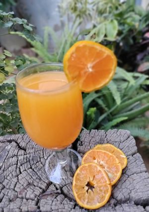 નારંગી નો ફ્રેશ જ્યુસ (Orange Fresh Juice Recipe In Gujarati) રેસીપી મુખ્ય ફોટો