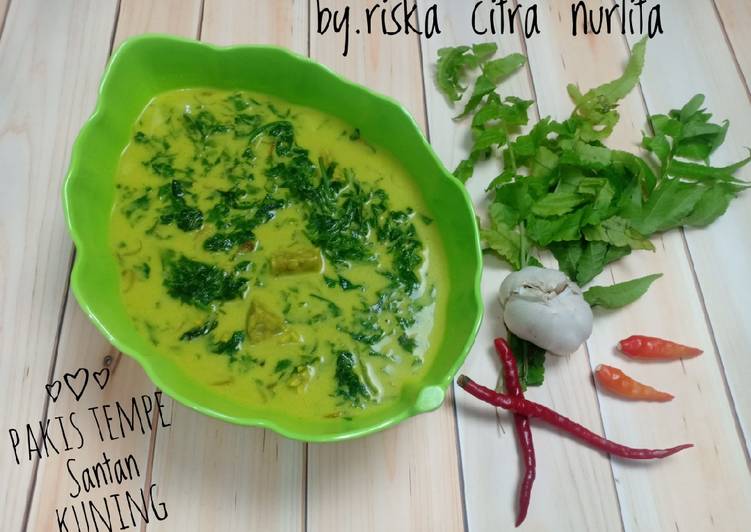 Pakis Tempe Santan Kuning