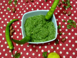ગ્રીન ચટણી (Green Chutney Recipe in Gujarati)