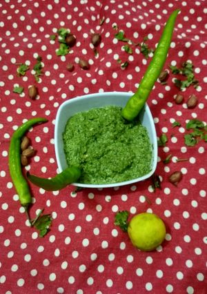 ગ્રીન ચટણી (Green Chutney Recipe in Gujarati) રેસીપી મુખ્ય ફોટો