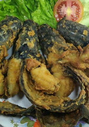 Foto resep Lele goreng tepung crispy (lele terbang)