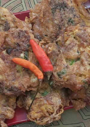 Foto resep Dadar Daging Kepiting/Tongkol Suwir