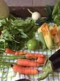 Menú de la huerta -vegetarianos