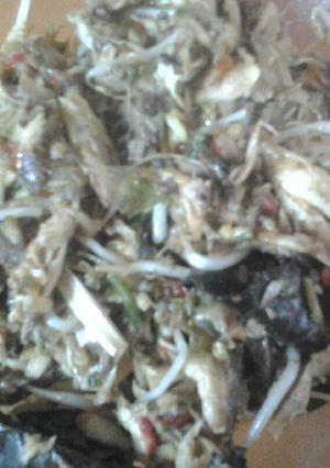 Foto resep Pindang suwir cabe ijo