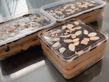 Mocha cake&peanut cream with ganache
