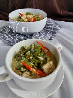 Foto resep Sayur Lodeh