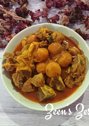 A picture of Kashmiri Wazwan Tchere Gosht Korma- Lamb with Dried Apricots.