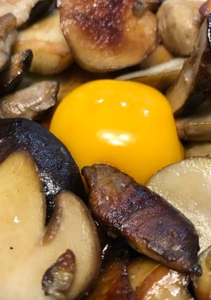 Foto principal de Boletus edulis con yema de huevo