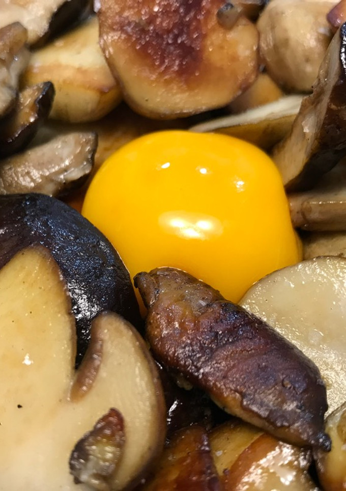 Una foto de Boletus edulis con yema de huevo