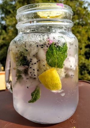 A picture of Dragon fruit mojito.