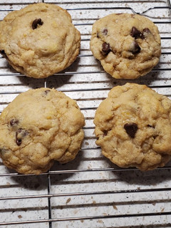 A picture of Lauren's Chocolate Chip Cookies 🍪.