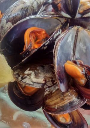 Una foto de Mejillones al vapor