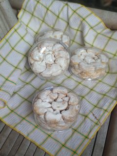 Foto resep Putri salju