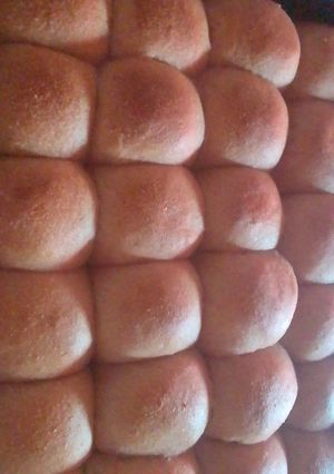 Una foto de Pancitos de Salvado