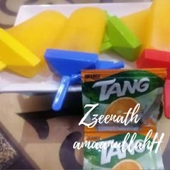 A picture of Tang Orange Flavoured Popsicles.