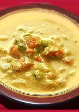 A picture of Kerala style korma.