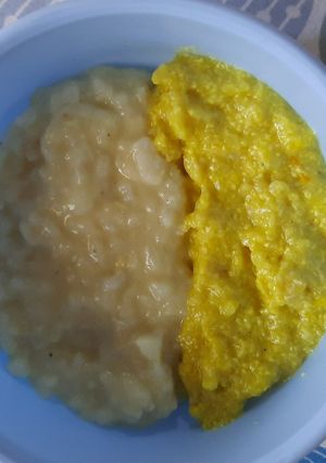 Foto resep Opor Ayam Nasi Gurih Mpasi 10M