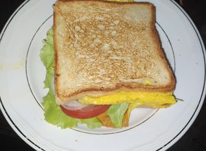 Una foto de Sándwich o bikini