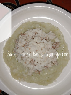 Foto resep Puree Brokoli Buncis Ikan Gurame Mpasi EL 9+