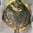 Rodaballo al horno