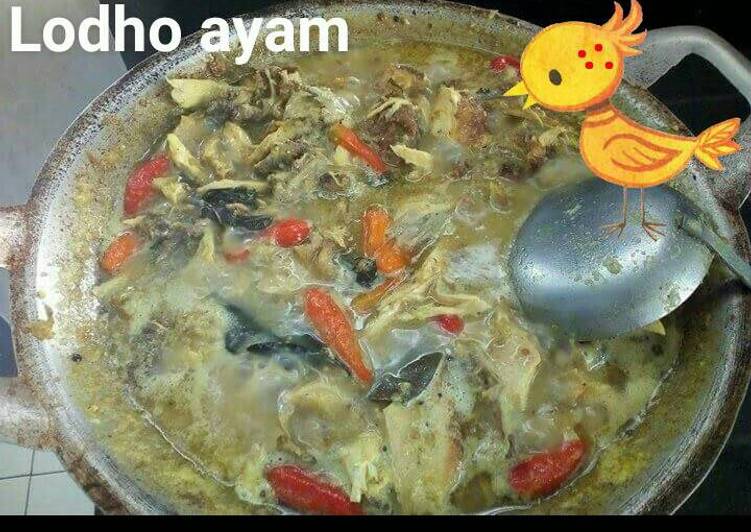 Lodho ayam