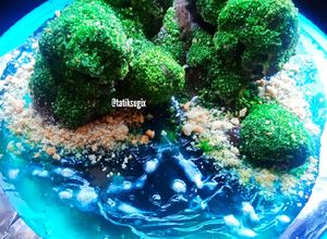 Foto resep Island Cake (Ocean Cake) agar2