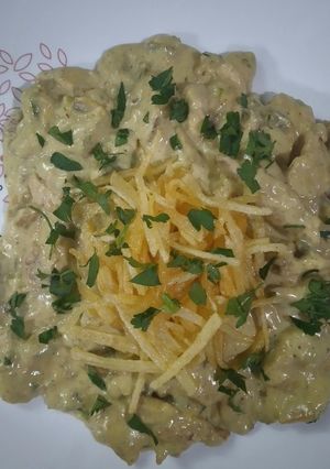 عکسی از دستور چیکن استراگانف