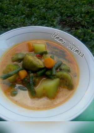 Foto resep Lodeh Terong dkk
