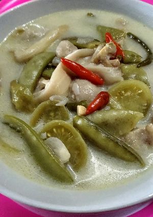 Foto resep Sayur campur santan pedas