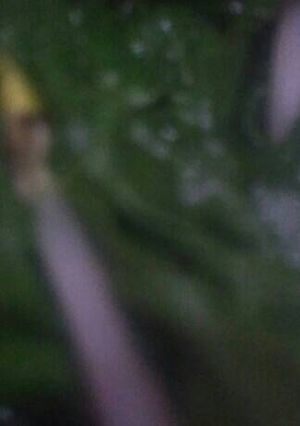 Foto resep Sayur bening peleng