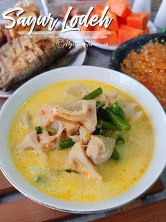 Foto resep #82 Lodeh Nangka Muda
