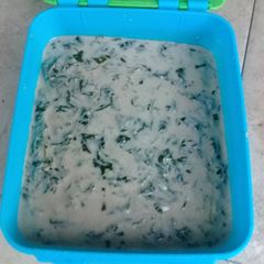 A picture of Kakana (wild vegetable).