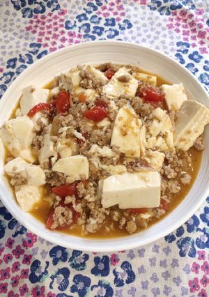 A picture of Mapo Tufo.