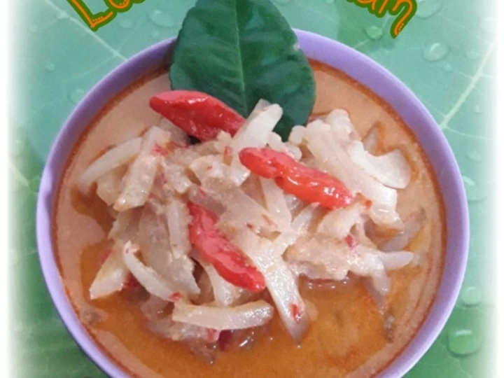 Easy Ways Make Recipes Lodeh Labu Siam the Awesome  Delicious.