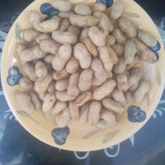 A picture of Cook groundnut.