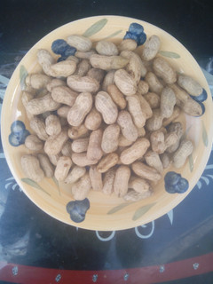 A picture of Cook groundnut.