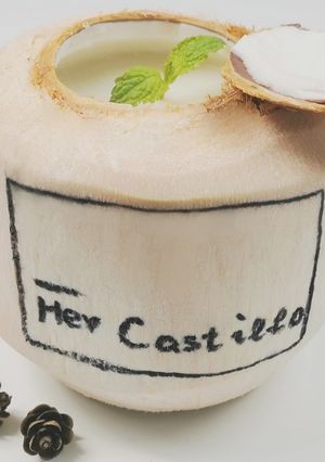 A picture of Coconut pudding in real coconut.
