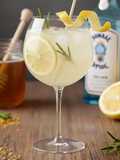 Honey Gin Fizz