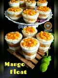Mango Float