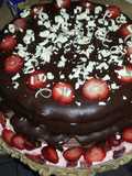 Torta helada💣💣