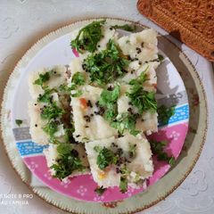 Mixed veg dhokla A picture of Mixed veg dhokla.