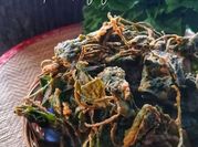 Gambar pegaga goreng