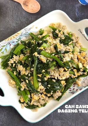 Foto resep Cah Sawi Daging Telur